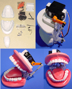 Animatronic  mouth