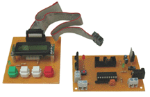 programmable relay